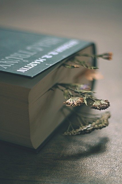 ilustrarion of old book and flowers