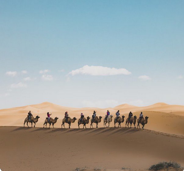 Caravana de camellos en el desierto árabe