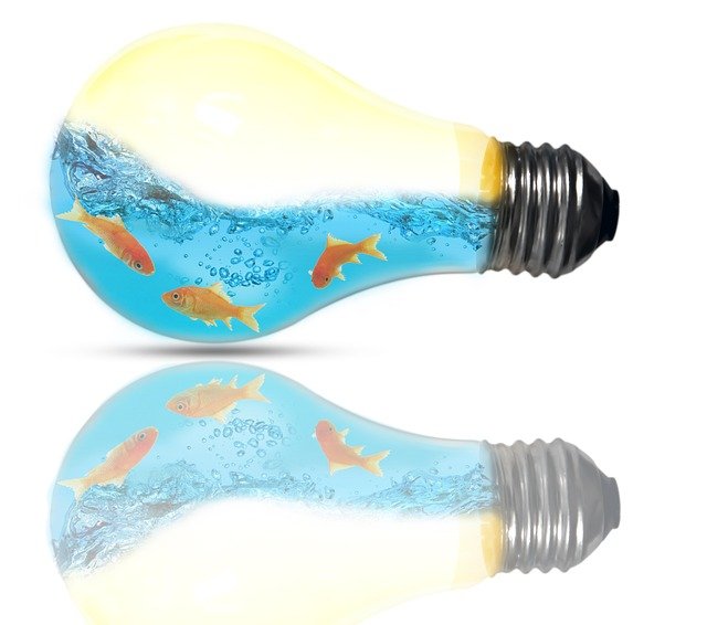 ilustration showing fish sowiming in a bulb